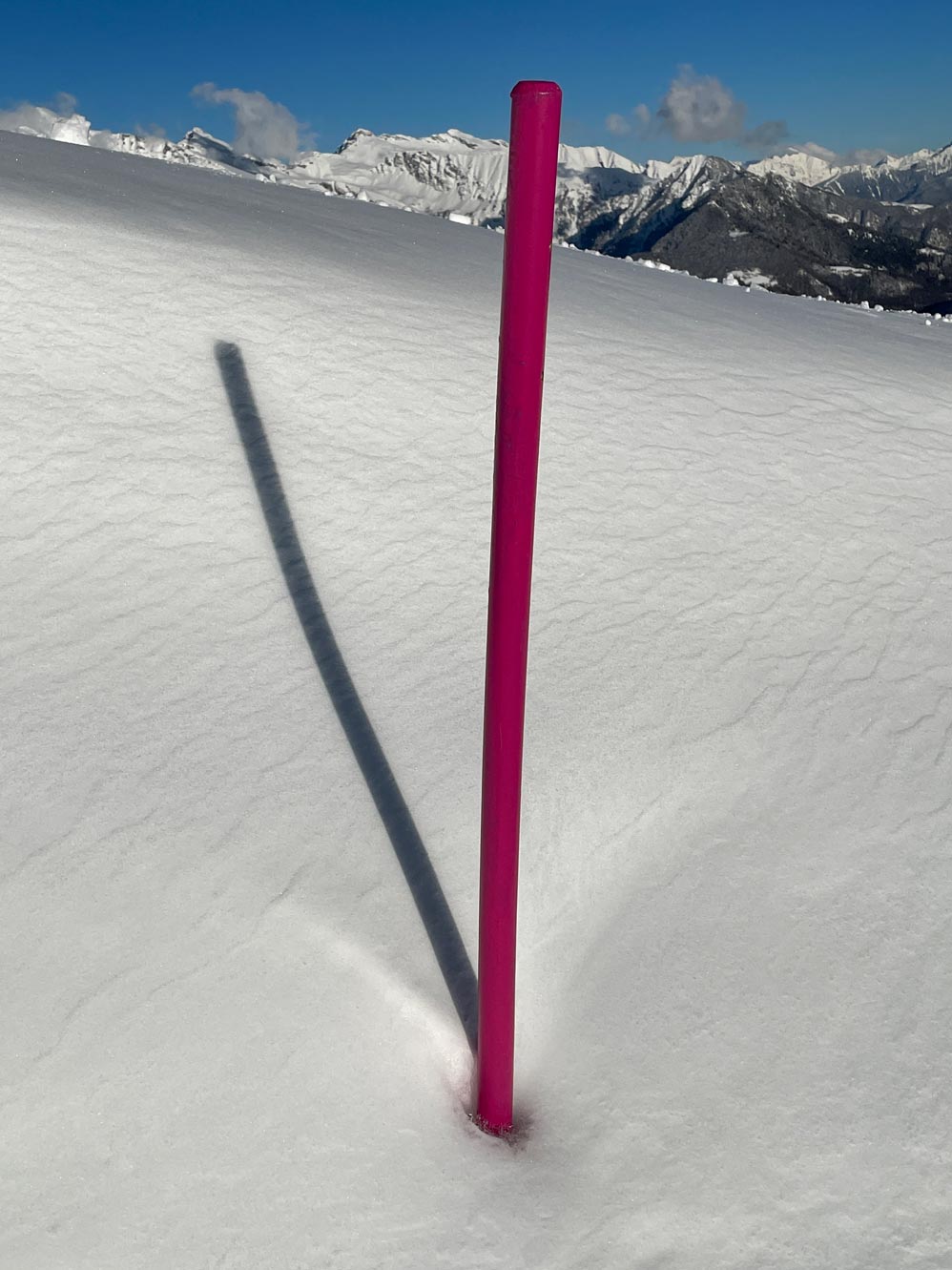 Pink Stick in Snow